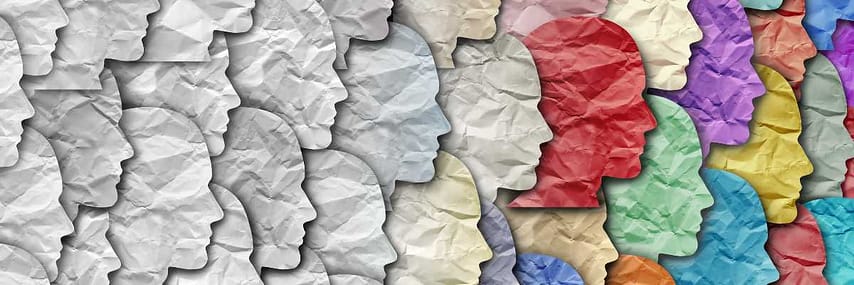 demographics let ai research your niche demographics