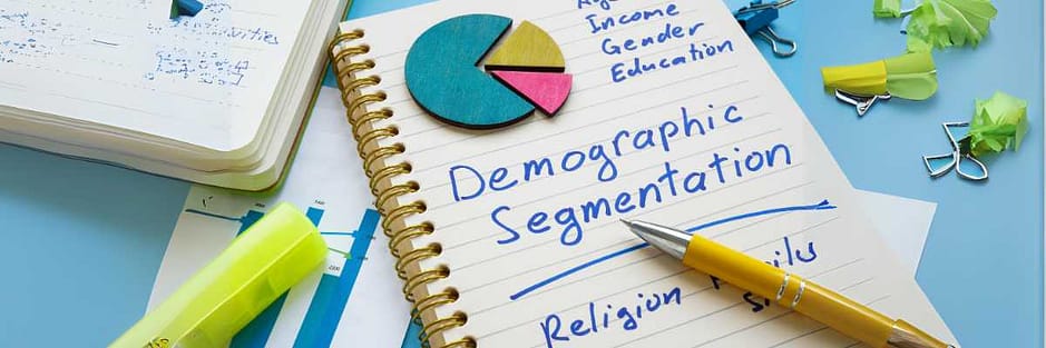 demographic segmentation use AI to determine the demographics of your target audience
